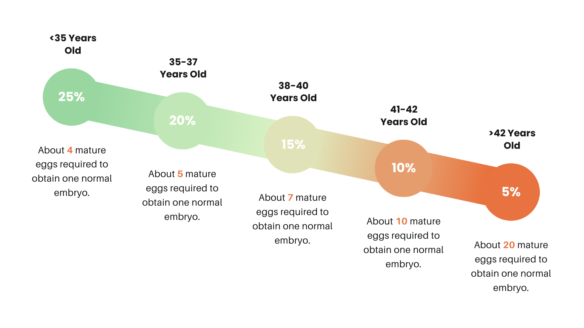 Timeline cycle of fertility preservation in Toronto