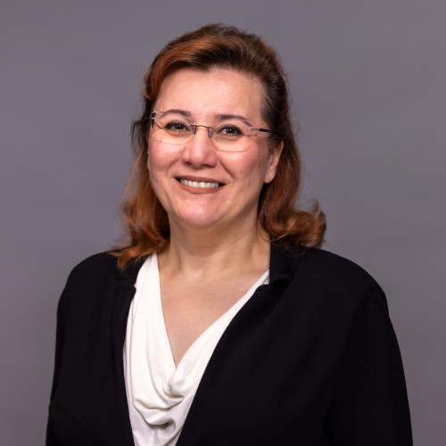 Dr. Nastaran Foyouzi, Fertility Specialist at Ovolife